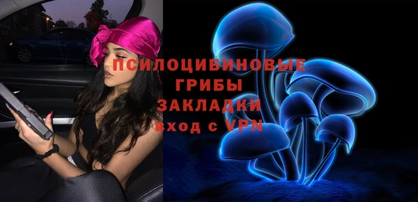 шишки Армянск