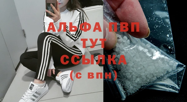 СК Арсеньев