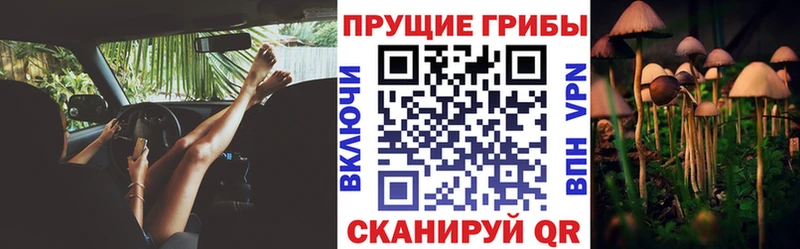 Псилоцибиновые грибы Magic Shrooms  сколько стоит  Озёры 